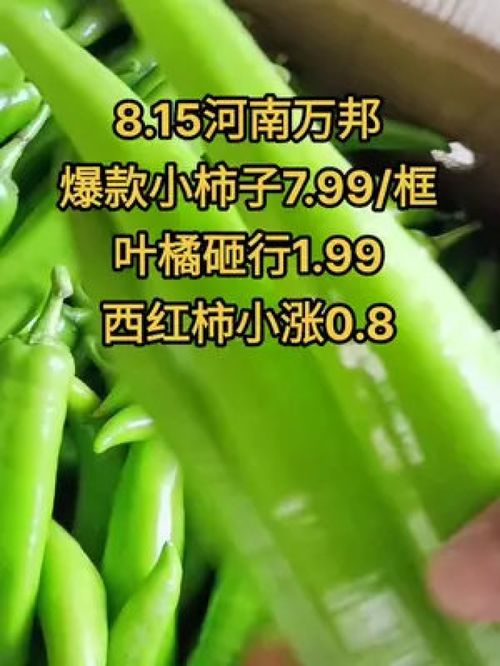 農產品市場行情持續低迷，水果蔬菜優質產品如何破局？