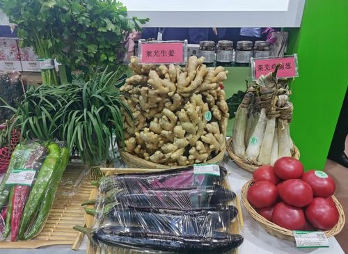 濟南農產品驚艷亮相綠博會，綠色品牌彰顯農業新活力