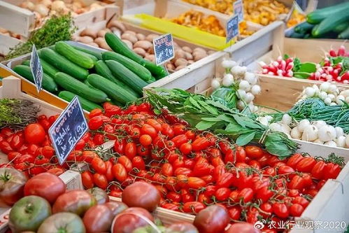 農產品B2B電商 顛覆傳統模式，開啟未來新篇章