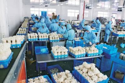泰州 以農產品為基石，做好農村產業融合“穩定器”