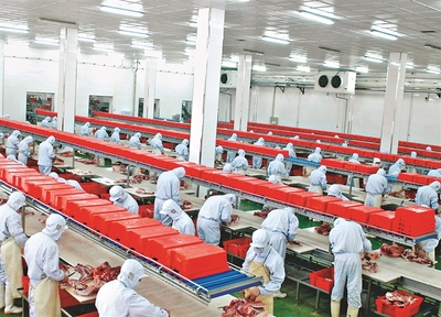 哈爾濱:規上農產品企業量效雙收，現代農業引擎動能強勁